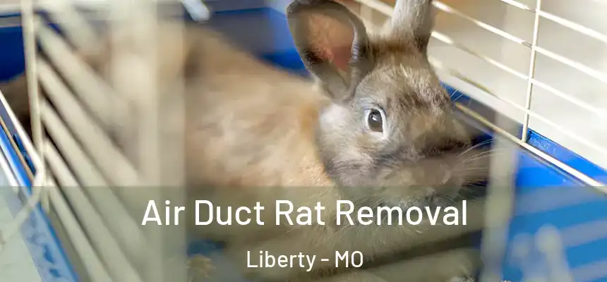  Air Duct Rat Removal Liberty - MO