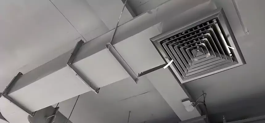 Restorative Allergy Relief Vent Cleaning – Coil, Blower & Housing Detail in Liberty