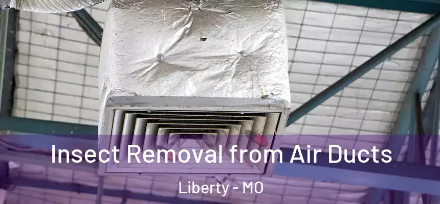  Insect Removal from Air Ducts Liberty - MO