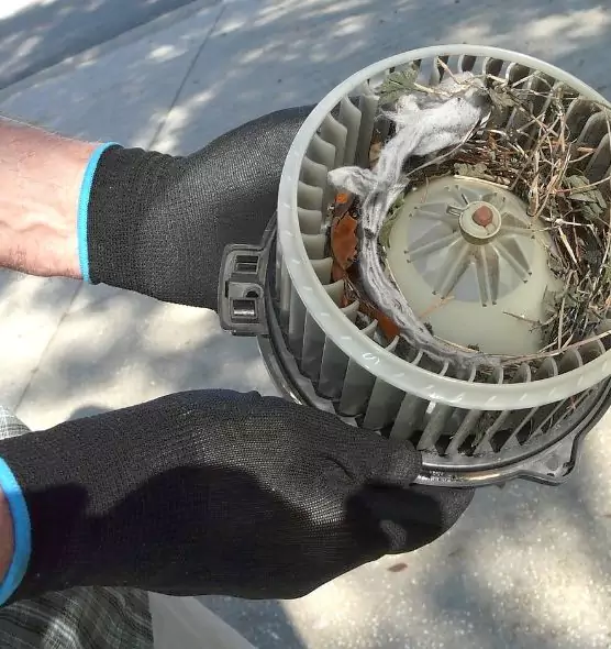 About Air Duct Rat Removal in Liberty, MO