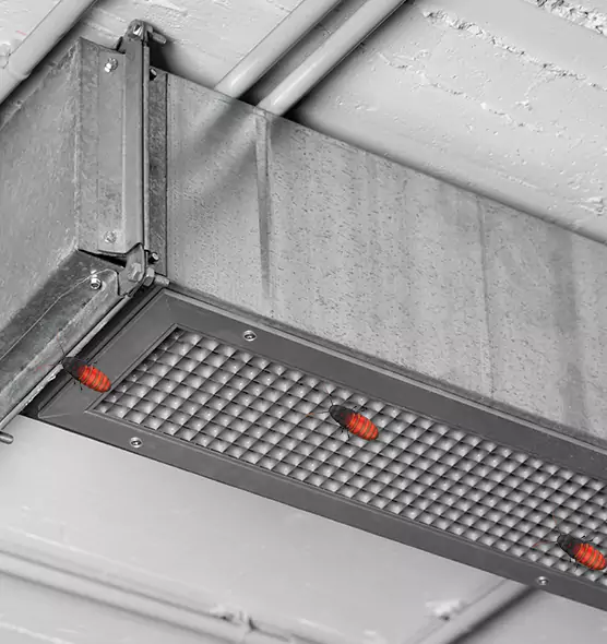 Affordable Insect Removal from Air Ducts in Liberty, MO