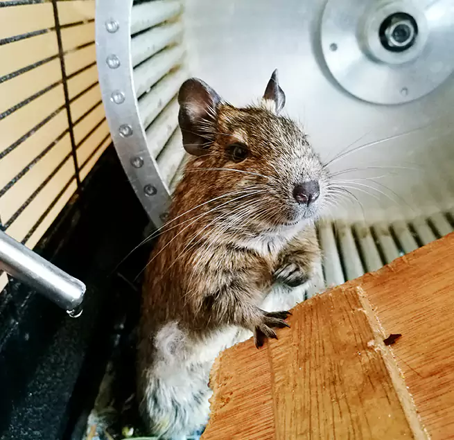 Why Homeowners & Businesses Trust Us Liberty, MO